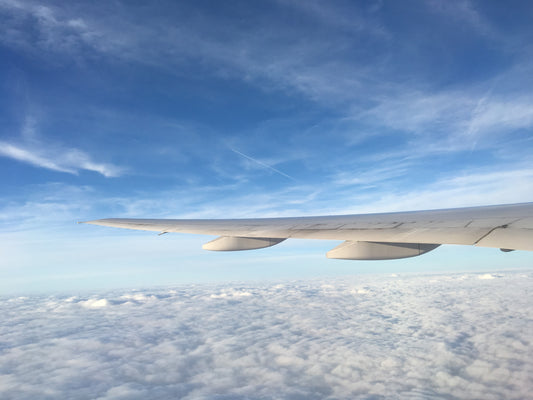 F*@K COVID! Sanitary Travel Tips for Your Next Flight